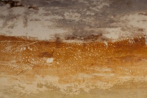 DIBBS_POOLE_JAN_2008  868 (2)