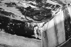 DIBBS_POOLE_JAN_2008  935 (2)